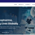 Virchow-Boitech-Website-Development